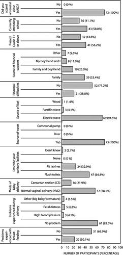 Figure 1: Sociodemographic and clinical characteristics of mothers (n = 73).