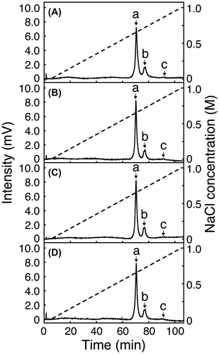 Fig. 3. Isolation of mAbs having two N-glycan chains by cation-exchange column chromatography. mAbs incubated with Endo S variant in the presence of G2-Oxa (A), G1a-Oxa (B), G1b-Oxa (C), or G0-Oxa (D) were digested with Endo CC followed by chromatography using a ProPacTM WCX-10 column to separate mAbs having two N-glycan chains (peak a), one N-glycan chain and one (±Fucα1→)GlcNAc group (peak b), and two (±Fucα1→)GlcNAc groups (peak c), which were prepared as standards. Dotted line indicates concentration of NaCl.