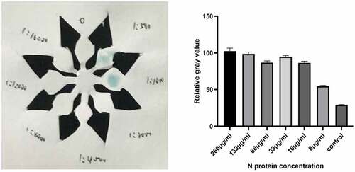 Figure 6. Color development results of SARS-Cov-2 N protein concentration of 8 μg/ml.