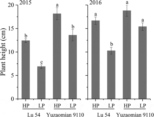 Figure 2. Plant height of Lu 54 and Yuzaomian 9110 under 0.01 mM (LP) and 1 mM KH2PO4 (HP) levels at the seedling stage in 2015 and 2016. The different letters from each year are significantly different at P = 0.05. Each value denotes the mean of three replications.