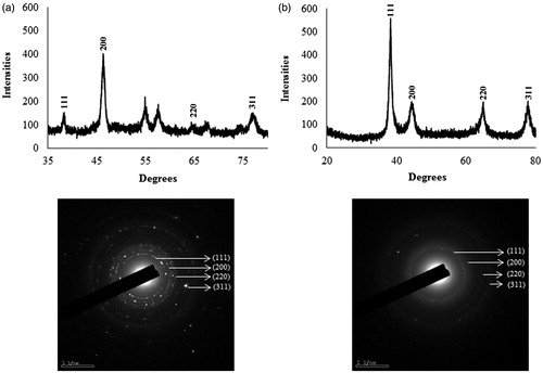 Figure 4. XRD and SAED pattern of silver nanoparticles (a) and gold nanoparticles (b).