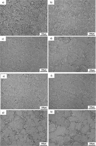 Figure 5. Metallographic microstructures after aging at 800°C, 900°C for (a) 800°C – 24 h, (b) 800°C – 48 h, (c) 800°C – 72 h, (d) 800°C – 144 h, (e) 900°C – 24 h, (f) 900°C – 48 h, (g) 900°C – 72 h and (h) 900°C – 144 h, respectively.