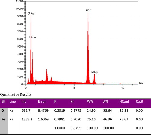 Figure 4. EDS of modified Fe3O4 NPs.