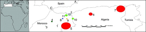 Figure 1. Staging areas of immature Short-toed Snake Eagles during summer. Each number corresponds to a different staging area (cross-referenced in Table 1). ‘C’ (Cadiz) and ‘A’ (Alicante) are the nesting areas where the birds were tagged.
