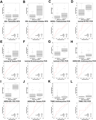 Figure 5 FOXP3 expression in groups of responder and non-responder BRCA patients treated using the online platform ROC plot. (A and B) RFS of ER+ BRCA patients, (C) PCR of HER2+ BRCA patients, (D–F) PCR of Luminal B BRCA patients, (G) PCR of Luminal A BRCA patients, (H–J) PCR of HER2+ and ER- BRCA patients, (K and L) PCR of TNBC BRCA patients.