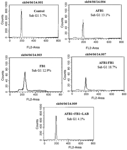 Figure 3. Effect of LAB on AFB1/FB1 induced apoptotic DNA. Freshly-isolated thymocytes (1.5 × 106) from each mouse treated as indicated in the legend for Figure 1. Propidium iodide fluorescence was measured using a flow cytometer with an FL-2 filter. Results are expressed in each histogram as the percentage of sub-G1 population.