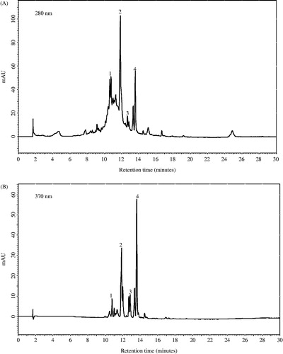 Figure 1. High-performance liquid chromatography profile of ethanol-based lyophilized extract obtained from S. davisii Muirhead aerial parts at (A) 280 nm and (B) 370 nm; (1) quercetin/hesperidin hexoside, (2) kaempferol rutinoside, (3) kaempferol hexoside + glucuronide, (4) kaempferol hexoside.