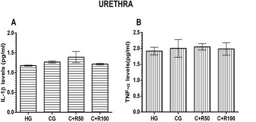 Figure 8. Levels of IL-1β (A) and TNF-α (B) levels in urethra tissue.