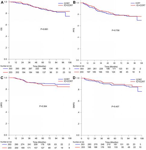 Figure 1 Kaplan–Meier survival curves for patients with stage T1-2N1M0 or T3-4N0-1M0 nasopharyngeal carcinoma treated with IC + CCRT or CCRT alone. (A) Overall survival; (B) progression-free survival; (C) locoregional relapse-free survival; (D) distant metastasis-free survival.Abbreviations: IC, induction chemotherapy; CCRT, concurrent chemoradiotherapy; NPC, nasopharyngeal carcinoma.