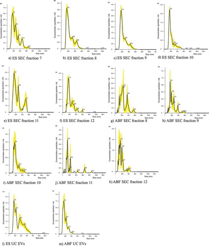 Figure 2. Finite track length adjustment (FTLA) Concentration/Size graphs for NTA analysis of particles in A-F) Size Exclusion Chromatography (SEC) fractions 7–12 purified from Ascaris suum Excretory/Secretory (ES) products, G-K) SEC fractions 8–12 purified from A. suum adult body fluid (ABF), L) ultracentrifugation pellet of A. suum ES and M) A. suum ABF.