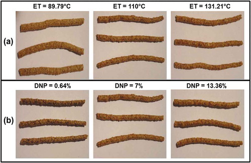 Figure 2. Photographs showing the visual effect of extrusion temperature (a, 88.79°C, 110°C, 131.21°C), at DNP = 7% and of dehydrated naranjita pomace (b, 0.64%, 7%, 13.36%), at ET = 110°C on bulk density of breakfast cereals.Figura 2. Fotografías mostrando el efecto visual de la temperatura de extrusión (a, 88.79°C, 110°C, 131.21°C), a SND = 7% y del contenido de subproductos de naranjita deshidratados (b, 0.64%, 7%, 13.36%), a TE = 110°C sobre densidad aparente de los cereales para desayuno.