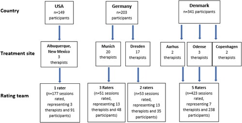 Figure 1. Flow diagram of the fidelity measurement in the Elderly study.