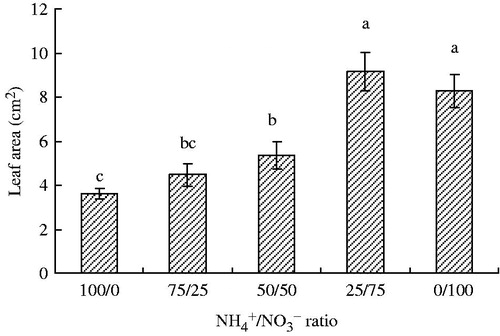 Figure 1. Effect of / ratios on leaf area of P. vulgaris. Values followed by the same letter are not significantly different at p < 0.05.