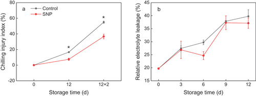 Figure 1. CI index (a) and relative electrolyte leakage (b) in cold stored cucumber fruit. Cucumber fruits were subjected to NO donor SNP (1.0 μM) or water (control). Data presented are mean values ± SD (n = 3). The asterisk denotes statistically significant differences between the treatment and control groups at each time point (*P < .05).