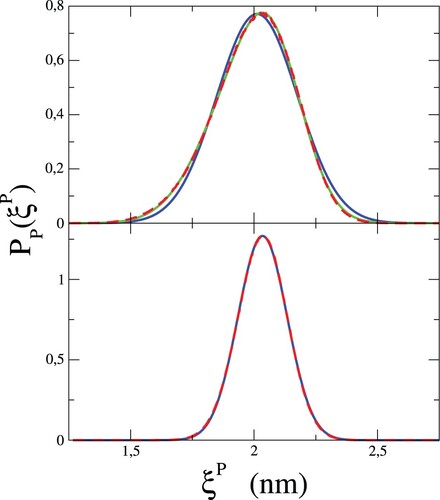 Figure 3. The dashed red line shows the probability distribution PP(ξP) for the local half-width ξP(x→) averaged over all configurations of the free DPPC membranes. ξP(x→) is evaluated using the ISM surfaces with qu=2.60nm−1. Top panel: results for the CHARMM36, bottom panel: for the MARTINI. The blue line is the fit with a Gaussian, and (in the top panel) the green line is a fit with two Gaussians.