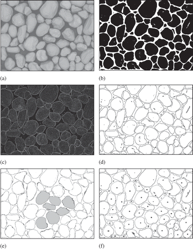 Figure 4. Typical images for analysis. (a) Original SEM micrograph. (b) B/W mask for image analysis. (c) Converted binary image. (d) Outlined skeleton image. (e) Selected filled particles. (f) Numbered particles.