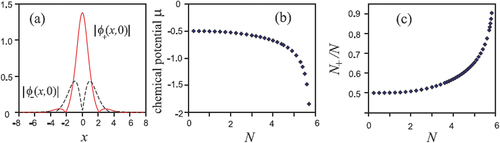 Figure 2. (a) Profiles of components |ϕ+(x,0)| and |ϕ−(x,0)|(as marked near the lines) of a stable SV soliton, shown by their cross-sections. The soliton is produced as a numerical solution of EquationEquations (30)(30) i∂ϕ+∂t=−12∇2ϕ+−(|ϕ+|2+γ|ϕ−|2)ϕ++(λD^[−]ϕ−−iλDD^[+]ϕ−)−Ωϕ+,(30) and (Equation31(31) i∂ϕ−∂t=−12∇2ϕ−−(|ϕ−|2+γ|ϕ+|2)ϕ−−(λD^[+]ϕ++iλDD^[−]ϕ+)+Ωϕ−,(31) ) with λD=Ω=γ=0. The total norm (Equation29(29) N=∬(|ϕ+|2+|ϕ−|2)dxdy≡N++N−,(29) ) is N = 5. (b) Chemical potential μ of the SV solitons vs. norm N for the same parameters. (c) The share of the fundamental component of the SV soliton in its total norm, N+/N, as a function of N. The figure is borrowed from Ref [Citation71].