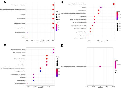 Figure 4 Kyoto Encyclopedia of Genes and Genomes (KEGG) pathways analysis of all DEGs. (A), the enriched KEGG pathways in co-DEGs; (B), the enriched KEGG pathways of DEGs in GSE116250 dataset; (C), the enriched KEGG pathways of DEG in GSE46224 dataset; (D), the enriched KEGG pathways in GSE5406 dataset.