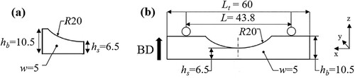 Figure 1. Sample geometries used in this study and their dimensions (in mm) for (a) dL-PBF process optimisation samples and (b) three-point bending fatigue (3PBF) coupons [Citation23,Citation46,Citation47], with two representative loading cylinders for fatigue testing indicating the distances needed for sample orientation during 3PBF tests. hs, hb, w, L, Lt and R refer to sample height at the minimum cross section, maximum height, sample width, distance between the supporting pins, total sample length, and radius of curvature, respectively.