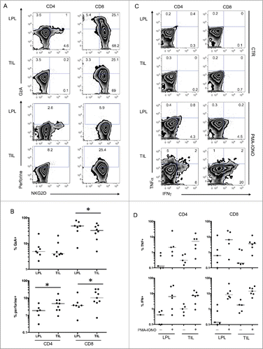 Figure 3 (See previous page). Functions of tumor infiltrating lymphocytes compared with T cells from neighboring tissues. (A) Representative FACS analysis of CD4 and CD8 T cells in the indicated compartment (LPL and TIL) for expression of NKG2D and intracellular granzyme A and perforin. (B) Compiled analysis of granzyme A and perforin in mucosal T cells (LPL and TIL) (n = 9). The Wilcoxon paired non-parametric t-test was used for statistical analyses (*: P < 0.05). (C) Representative intracellular FACS analysis of CD4 and CD8 T cells from the indicated compartment (LPL and TIL) for expression of IFNγ and TNFα with or without PMA-ionomycin restimulation. (D) Compiled analysis of IFNγ and TNFα in mucosal T cells with or without PMA-ionomycin restimulation (n = 7). The Wilcoxon paired non-parametric t-test was used for statistical analyses (*: P < 0.05). IFNγ, ιντϵρφϵρµν γαμμα; LPL, lamina propria lymphocytes; PBL, peripheral blood lymphocytes; TIL, tumor-infiltrating lymphocytes; TNFα, tumor necrosis factor.