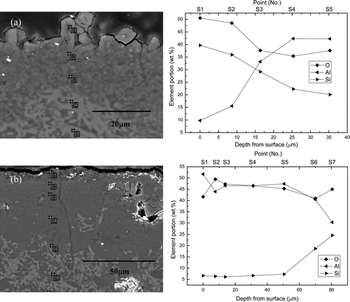 Figure 8. Cross-sectional microstructures and EDS analysis results of mullite corroded at 650°C for 168 h in (a) 1 wt% Li2O–LiCl and (b) 3 wt% Li2O–LiCl.
