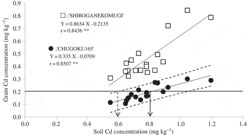 Figure 4 Relationship between the soil cadmium (Cd) concentration extracted with 0.1 M hydrochloric acid (HCl) and grain Cd concentration (2012). □: “SHIROGANEKOMUGI”, ●: “CHUGOKU165”. Straight lines and broken lines represent the regression line and confidence interval (0.95), respectively.