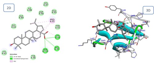 Figure 14. 2D and 3D representation of predicted binding mode of Betulinic acid with BMPII receptor.