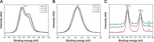Figure 7 XPS spectra of C1s peaks (A), O1s peaks (B) and Ag3d peaks (C) in the samples of as-prepared PVA (i), PVA-Ag (ii), PVA-Ag@heat (iii), PVA-Ag@UV (iv) nanofibrous mats, respectively.Abbreviations: XPS, X-ray photoelectron spectroscopy; PVA, poly(vinyl alcohol); PVA-Ag, AgNPs-containing nanofiber mats; PVA-Ag@heat, PVA-Ag on preheating conditions; PVA-Ag@UV, PVA-Ag sample irradiated under UV lamp; AU, arbitrary units.