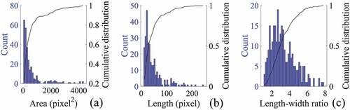 Figure 8. Statistics of the length, length-width ratio and area of targets identified as true ships.