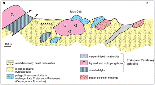 Figure 16. Cross-section showing 1 – Slices of internally coherent ophiolitic rocks (lefthand side); 2 – Volcanic-sedimentary melange, including dismembered blocks of ophiolitic rocks; 3 – Dismembered thrust sheet of Upper Cretaceous-Palaeocene? Carbonate rocks (e.g. Talas Dağı) which is correlated with the Eurasian margin succession; 4 – Unconformably overlying Oligo–Miocene succession. See Figure 7 for location.