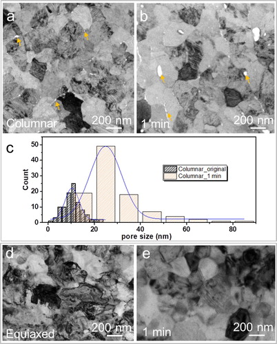 Figure 3. (a, b) Plan-view TEM images of the as-deposited, columnar Cr2AlC MAX phase coating before (a) and after 1 min (b) oxidation at 1100°C. (c) Statistical distributions of the pore size measured in (a) and (b). (d-e) Plan-view TEM images of the as-annealed, equiaxed coating before (c) and after 1 min (d) oxidation at 1100°C.