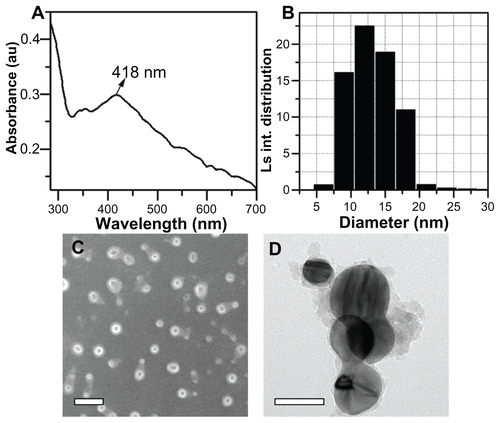 Figure S1. (A) Ultraviolet-visible absorbance spectrum, and (B) particle size distribution histogram of metalloid polymer hybrid nanoparticles (Ag@SiO2-PEG) from electrophoretic light scattering measurements. (C) Field emission scanning electron microscopic (scale bar 30 nm) and (D) high resolution transmission electron microscopic images (scale bar 10 nm) of metalloid polymer hybrid nanoparticles.Abbreviations: Ag@SiO2-PEG, silver-silica coated with polyethylene glycol; LS int., light scattering intensity.