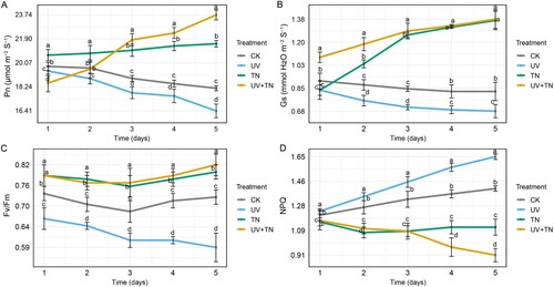 Figure 3. The individual and combined effects of TiO2 NPs and UV-B irradiation on key photosynthetic parameters including (A) net photosynthetic rate (Pn), (B) stomatal conductance (Gs), (C) maximum efficiency of photosystem II (Fv/Fm), and (D) non-photochemical quenching (NPQ) in rice plants. Data represented are the means ± SE (n = 8), and significant differences between the means were calculated at p ≤ 0.05 using Duncan’s multiple range test.