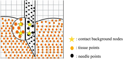 Figure 3. Contact point detection: needle points (represented as black points) and tissue points (represented as orange points) are mapped to the same background grid nodes (represented as yellow pentagram).
