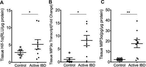 Figure 1 Analysis of colon HIF-1a and MIP-3α in pediatric IBD colitis. In panel A, biopsy tissue lysates from pediatric non-colitis controls (n=7) and pediatric subjects with active IBD colitis (n=9) were used to quantify HIF-1a protein by electrochemiluminescent-based ELISA and presented as mean±SEM relative light units/µg total protein where * is p<0.05. In panel B, total RNA was isolated from colonic biopsies derived from pediatric non-colitis controls (n=7) and pediatric subjects with active IBD colitis (n=9). Quantitative PCR was used to analyze MIP-3α mRNA levels. Data are expressed as mean±SEM transcript level derived from the differential threshold cycle number (2e-∆CT) and normalized to healthy controls where * is p<0.05. In panel C, biopsy tissue lysates were used from pediatric non-colitis controls (n=7) and pediatric subjects with active IBD colitis (n=10) to quantify MIP-3α protein by electrochemiluminescent-based ELISA and presented as mean±SEM pg MIP-3α/ug total protein where ** is p<0.01.