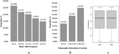 Figure 2. Genetic diversity of Dengchuan cattle. (a) Proportion of minimum allele frequency. (b) Proportion of polymorphic information content. (c) Graph of heterozygosity analysis.