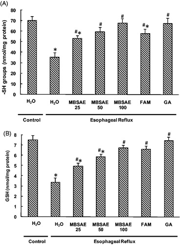 Figure 5. Effect of MBSAE, famotidine (FAM) and gallic acid (GA) on ER-induced changes in esophageal non-enzymatic antioxidants levels: thiol groups (A) and reduced glutathione (B). Animals were treated with various doses of MBSAE (25, 50 and 100 mg/kg, p.o.), FAM (20 mg/kg, b.w., p.o.), GA (50 mg/kg, p.o.) or vehicle (H2O) during 6 h after ER induction. The data are expressed as mean ± SEM (n = 10). *p < 0.05 compared to the control group and #p < 0.05 compared to the ER group.