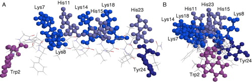 Figure 5.  Structure of Pleurocidin based on the coordinates 1Z64.pdb obtained from the protein databank Citation[1] with the cationic and intrinsic fluorescing residues shown. A side view (A) reveals the distribution of the lysine and histidine residues along one face of the helix and the relative orientation of the tryptophan and tyrosine side chains to the helix. A view along the helix (B) shows that all three histidine residues are oriented along the spine of the helix and would interact only weakly with the lipid head groups of anionic lipids when oriented in this manner. This Figure is reproduced in colour in Molecular Membrane Biology online.