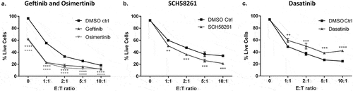 Figure 6. Investigating the impact of targeted therapies on T cell-mediated cytotoxicity using the anti-CD3-expressing tumor cell co-culture system.