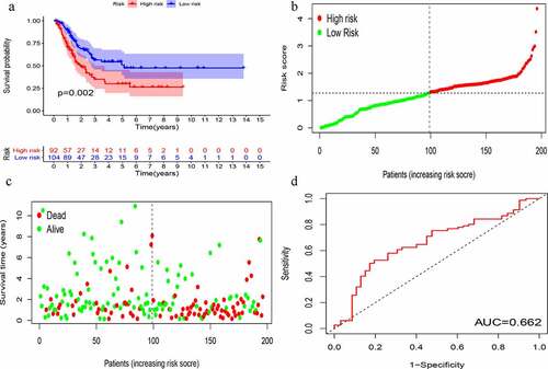 Figure 5. Evaluation of instability-related lncRNA genomic signature (GIlncSig) in the testing group. (a) Kaplan – Meier Survival Trial of GIlncSig for High and Low Risk Groups. (b) Risk score and (c) Survival outcome for each tumor sample. (d) Time-dependent ROC curve at 5 years