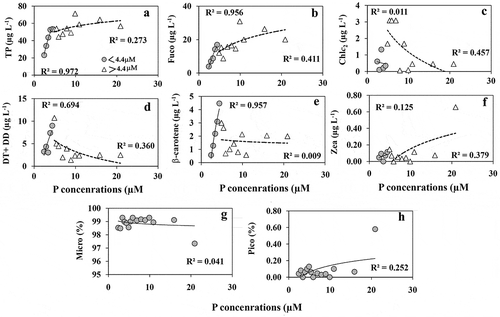 Fig. 7. The concentrations of (a) total pigment (TP), (b) fucoxanthin, (c) Chl c2, (d) diatoxanthin+diadinoxanthin, (e) β-carotene, (f) zeaxanthin detected in the HPLC analysis from P enrichment experiment. The relative % of (g) microphytoplankton (represents diatom) and (h) picophytoplankton (mostly cyanobacteria) calculated based on the diagnostic pigment concentrations detected in HPLC pigment analysis