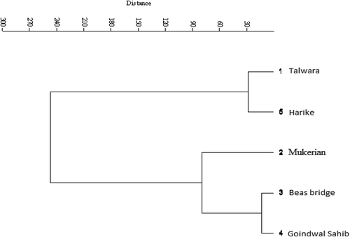 Figure 2. Cluster analysis of physiochemical properties of soil from catchment areas of river Beas.