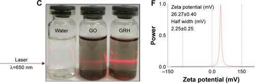 Figure 4 The dispersibility and stability of GO (A) and GRH (B), the Tyndall effect of GO and GRH (C), and the zeta potential of GO (D), GO-R8 (E), and GRH (F).