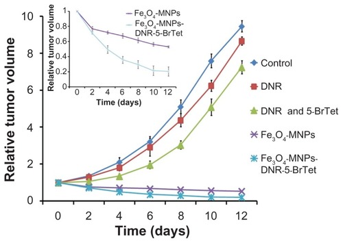 Figure 3 Relative tumor volume of mice after treatment for 12 days.Abbreviations: DNR, daunorubicin; 5-BrTet, 5-bromotetrandrine; Fe3O4-MNP, magnetic nanoparticles of Fe3O4.