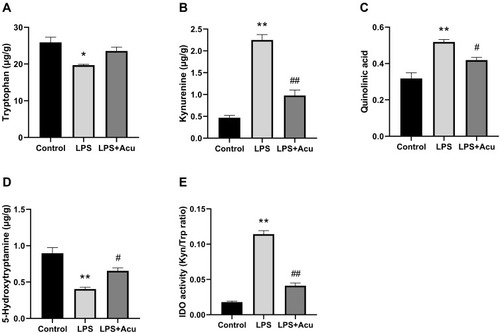 Figure 3 Effect of electroacupuncture on the tryptophan degrading pathway and IDO activity in hippocampus. Tryptophan (A), kynurenine (B), quinolinic acid (C), 5-Hydroxytryptamine (D), and IDO activity (Kyn/Trp radio) (E). Data are expressed as the mean ± SEM, (n = 6). *P < 0.05, **P < 0.01 compared to the control group; #P < 0.05; ##P < 0.01 compared to the LPS group.