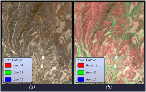 Figure 1. Sentinel-2 images for monitoring wildfires (a) true colour and (b) false colour.