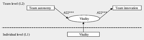 Figure 3. The significant results of the MSEM.