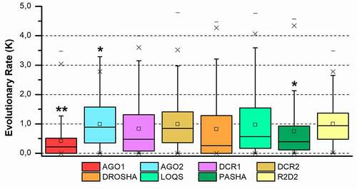 Figure 3. Evolutionary rate evaluation of the main RNAi machinery core elements in five different insect orders. The graph shows the distribution of the evolutionary rate (K value) in each alignment position for all protein classes analysed. Box plot interpretation: The line in the middle of the box represents the median (mid-point of the data). Each part of the box divided by the median line represents 25% of the data distribution. In this way, the box represents 50% of the data. The unfiled small square inside the boxes represents the average value. The whiskers (upper and lower) represent scores outside of the 50% represented by the box. The region delimited by each whisker until the limit of the box represents respectively 25% (lower whisker) and 95% (upper whisker) of the data. The dashes (-) at the ends represent the maximum and minimum values. The ‘exes’ (x) represent outliers. The number of asterisks (*) indicates a statistically significant difference according to the non-parametric median test among insect orders (* p ≤ 0.05; ** p ≤ 0.01; *** p ≤ 0.001)