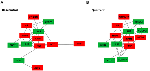 Figure 5 Interactive in-silico network of skin biomarkers with (A) Resveratrol, (B) Quercetin. The model has been assembled based on data mining and machine learning (ML) algorithms. The biomarkers activated by the compounds are highlighted in green, and the inhibited biomarkers are highlighted in red.