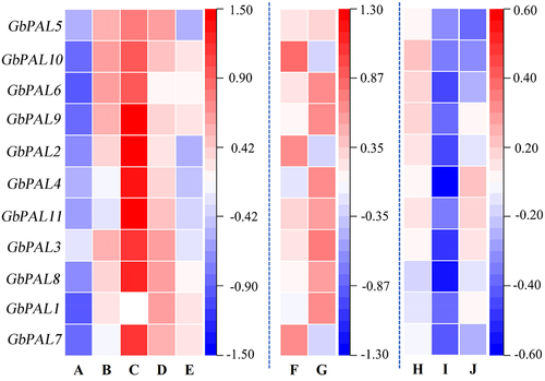 Figure 6. Heatmap of expression of GbPals in different states. A: root; B: stem; C: leaf; D: flower; E: seed; F: haploid; G: diploid. H-J: ginkgo leaves under drought stress, salt stress, and high temperature stress.